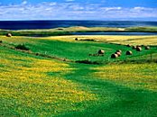 Canada: Landscape. Picutre: Organic Centre Canada