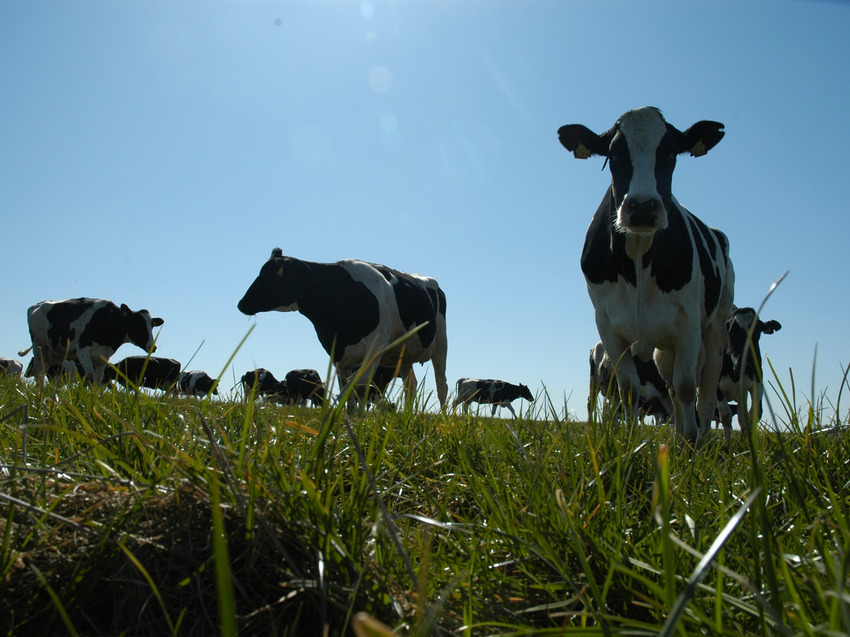 Organic Denmark: Open day in Horsens, www.organicdenmark.com