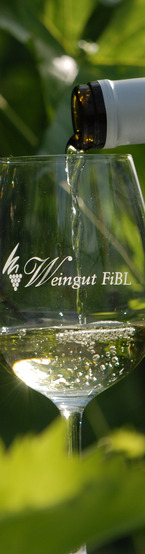 Weinglas